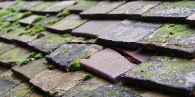 Lower Weare roof repair costs